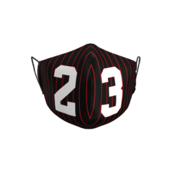 Daugkartinio naudojimo veido kaukė Chicago